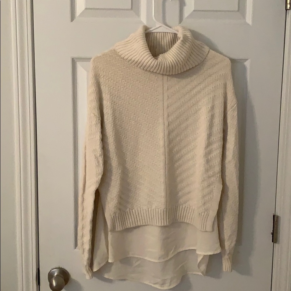 The Limited Turtleneck Sweater